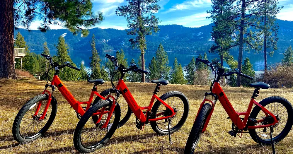 Riding e-bikes along Coeur d' Alene lakefront — Tour CDA rental
