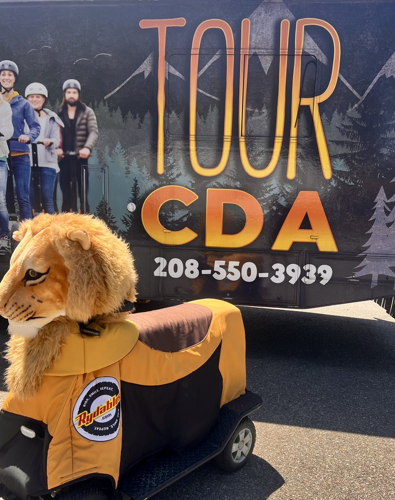 Mufasa the Lion Rydable — Tour CDA