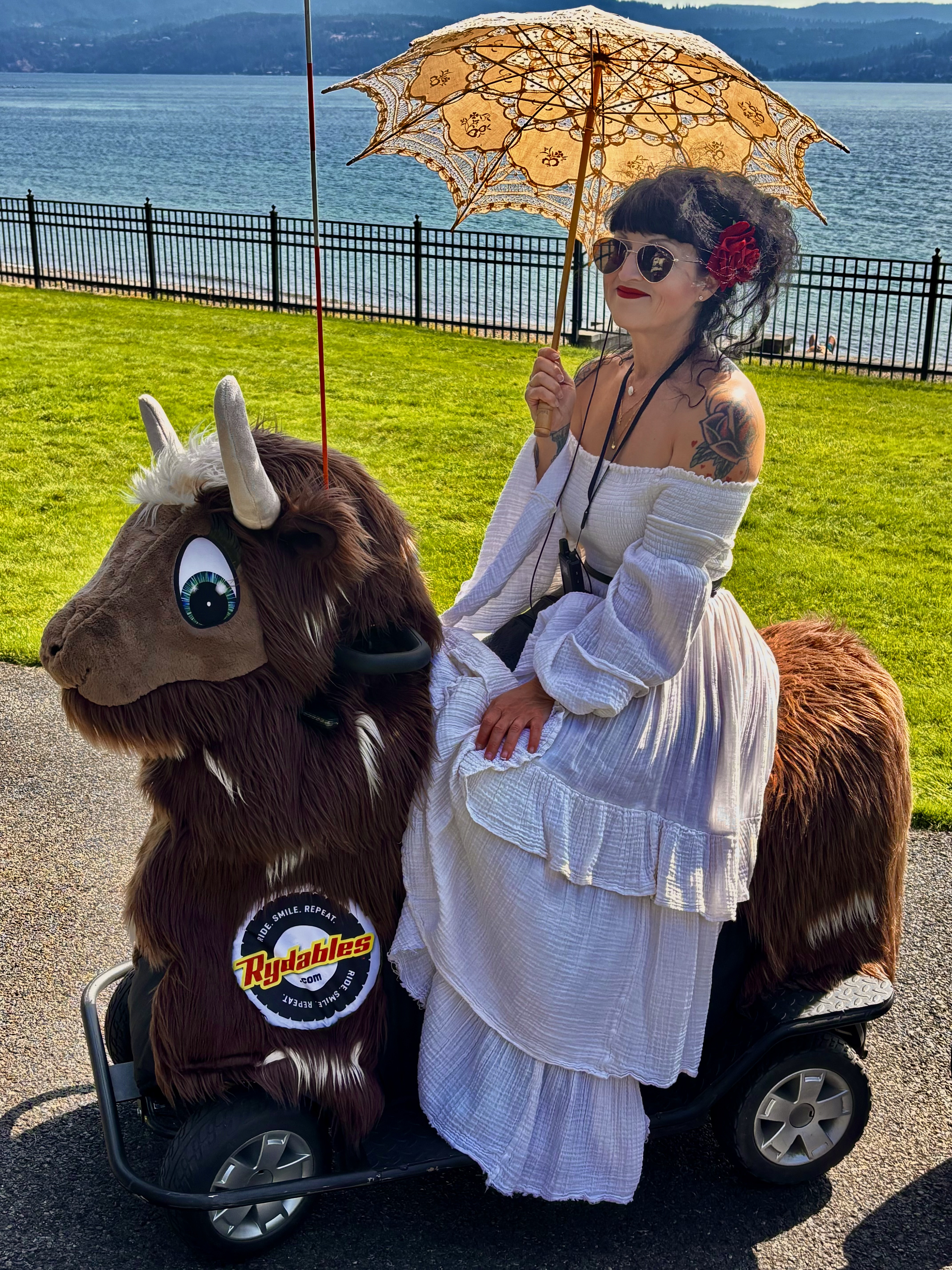 Highland cow Rydable — Tour CDA